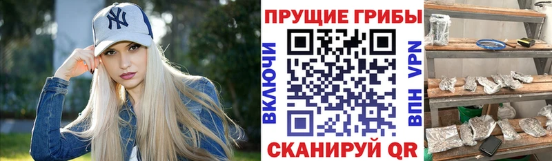 Псилоцибиновые грибы прущие грибы  как найти закладки  Яблоновский 